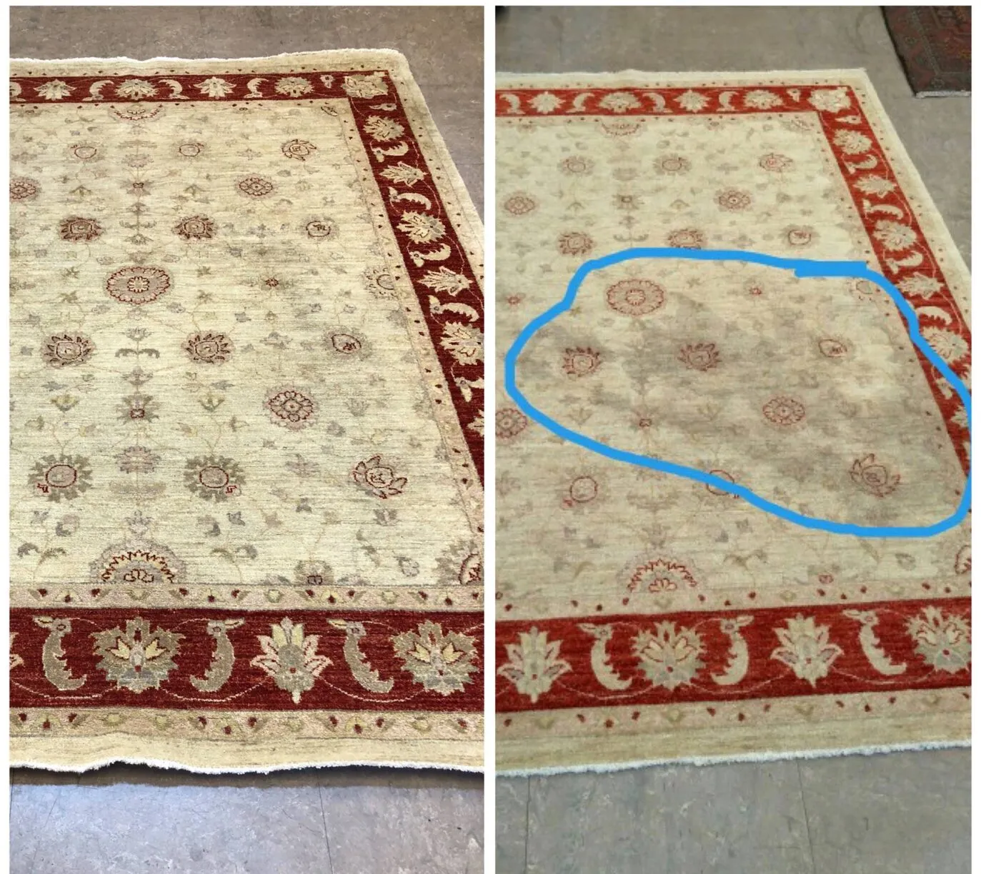Before and after: the same wool area rug, stained and then cleaned at our Sarasota plant