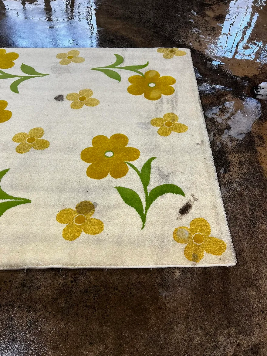 A stained rug on the wash floor mid-treatment